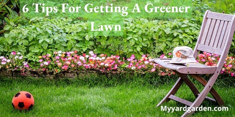6 Tips For Getting A Greener Lawn