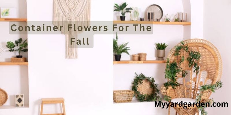 Container Flowers For The Fall