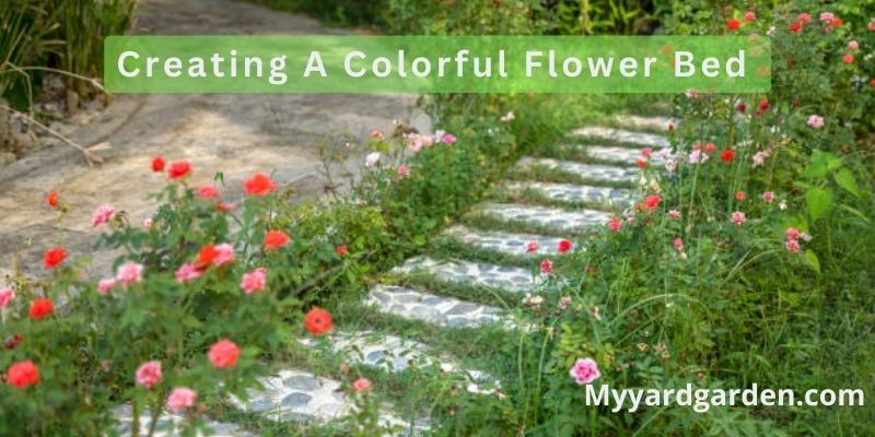 Creating A Colorful Flower Bed