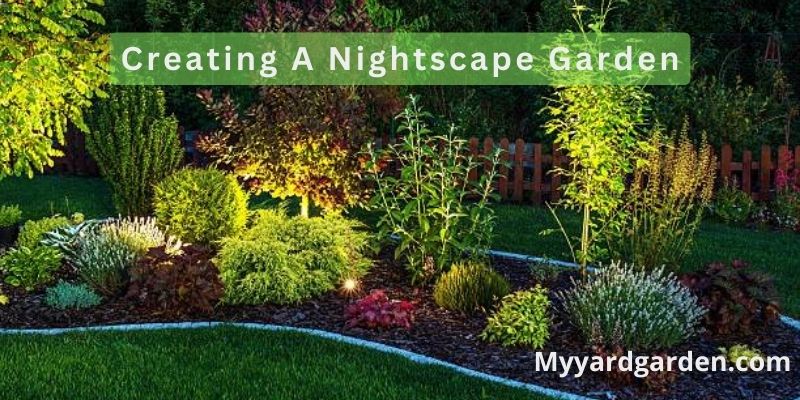 Creating A Nightscape Garden
