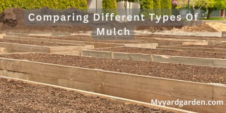 Comparing Different Types Of Mulch (3 Important Types) - myyardgarden.com