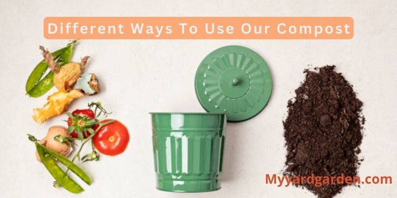 Different Ways To Use Our Compost